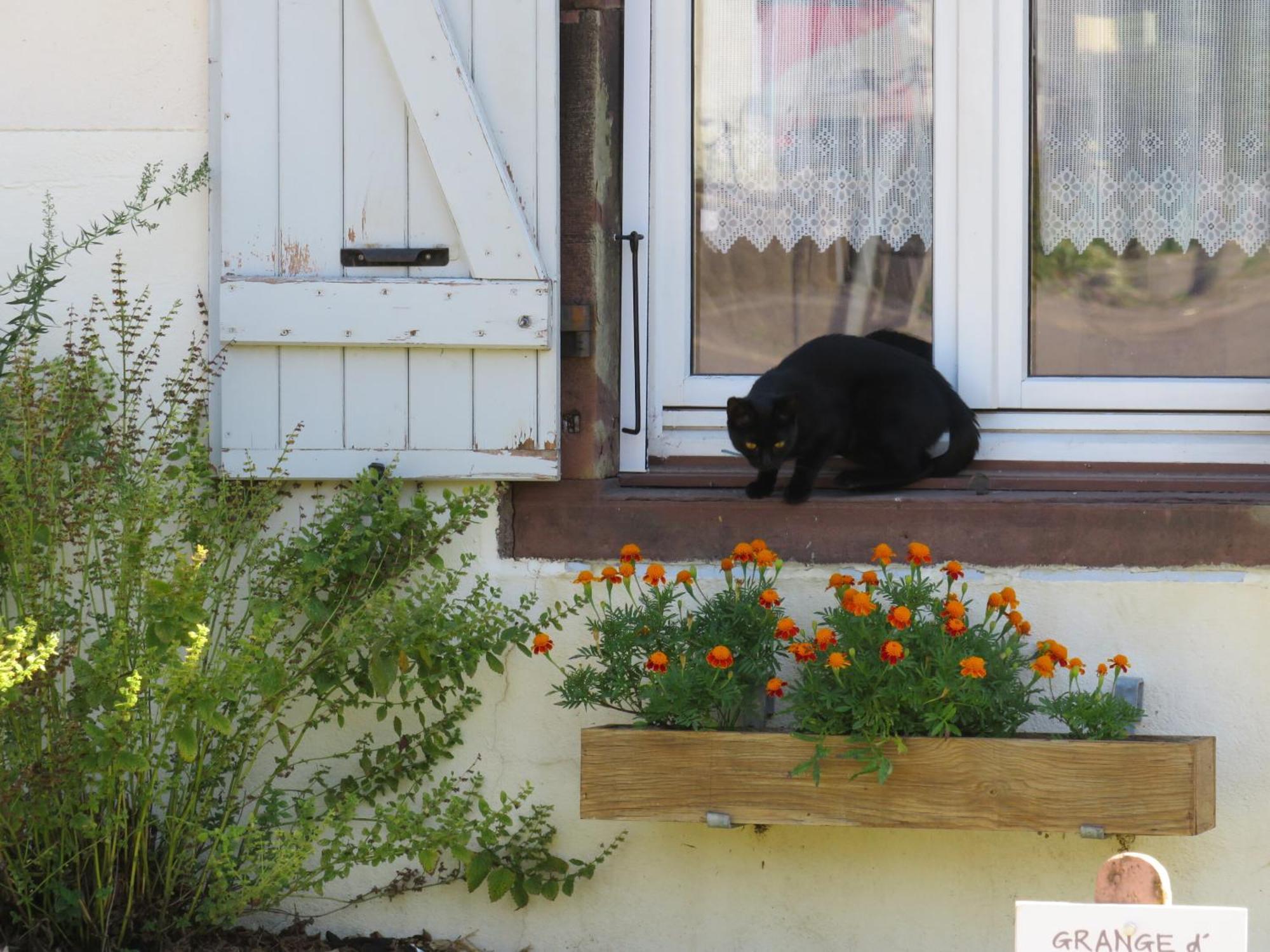 กร็องฌ์ ด็องเฌอ เบด แอนด์ เบรคฟาสต์ Bed & Breakfast Anjeux ภายนอก รูปภาพ